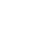 Salestastic Logo